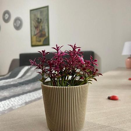 Cozy Apartment Ladybug, 사라예보 외부 사진