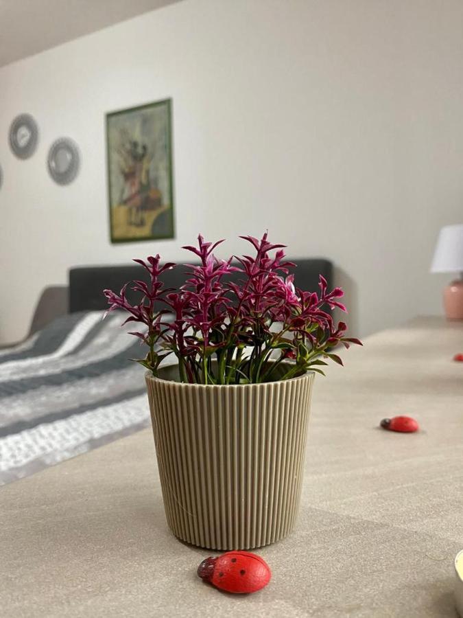 Cozy Apartment Ladybug, 사라예보 외부 사진
